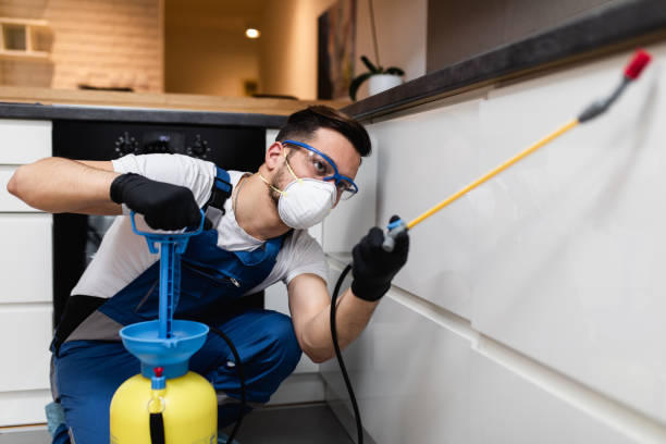 Best Affordable Pest Control Services  in Albertson, NY