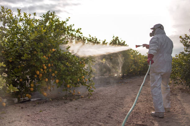 Best Residential Pest Control  in Albertson, NY