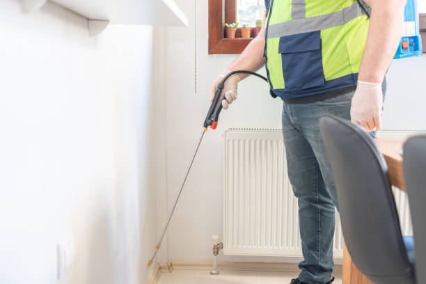 Best Flea Control Services  in Albertson, NY