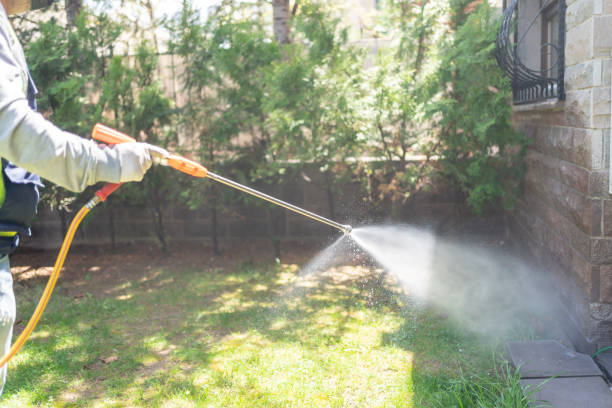 Best Wasp Removal Services  in Albertson, NY
