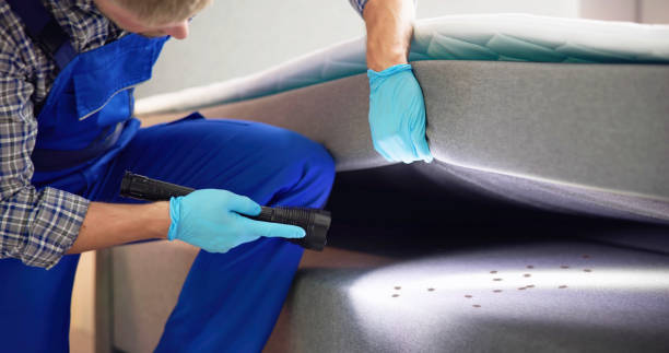 Best Pest Inspection Near Me  in Albertson, NY