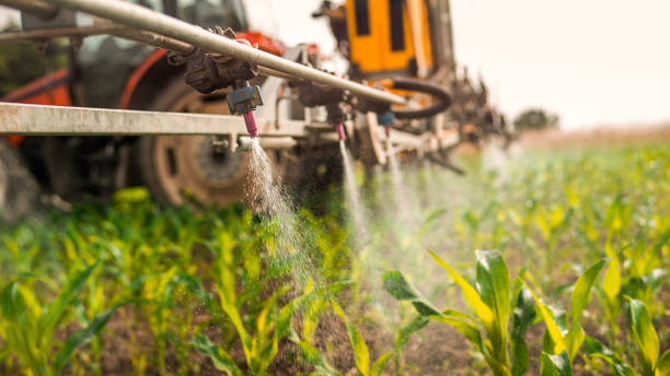 Best Local Pest Control Services  in Albertson, NY