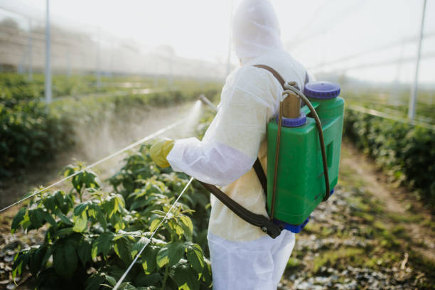 Best Commercial Pest Control Services  in Albertson, NY